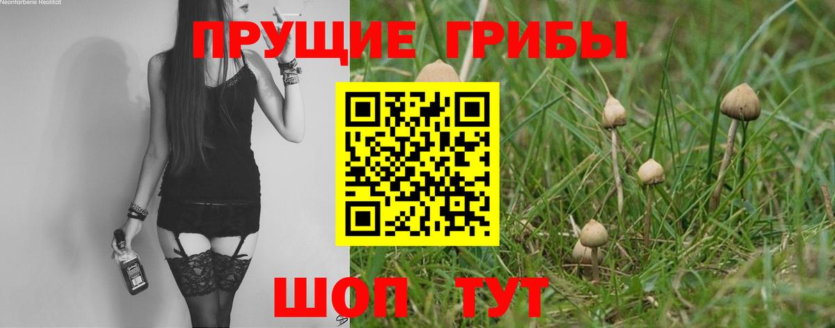 Углич  Галлюциногенные грибы мухоморы  Вход с VPN 